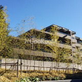 ディアナガーデン神宮前