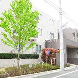 ルフォン学芸大学