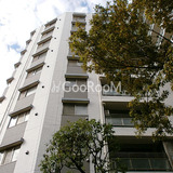 デュオ・スカーラ大島