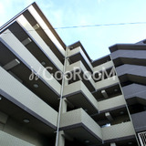 レナトゥス四谷